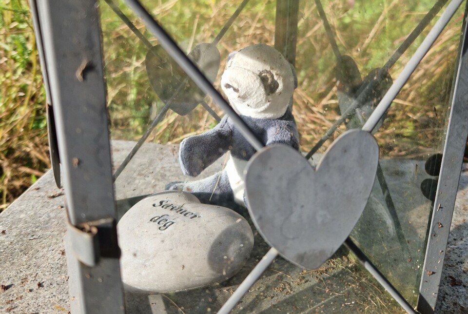 In Norway, 200 children die each year in stillbirths. In the memorial garden at Vestre Aker, the bereaved place stones, teddy bears, flowers, and small gifts from siblings.