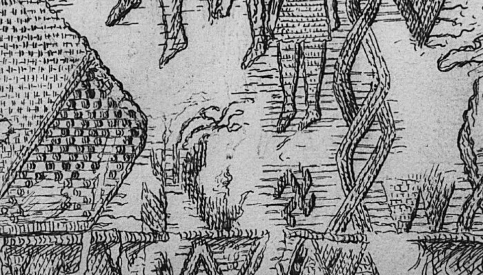 Excerpt from Sofie Krafft's drawing.