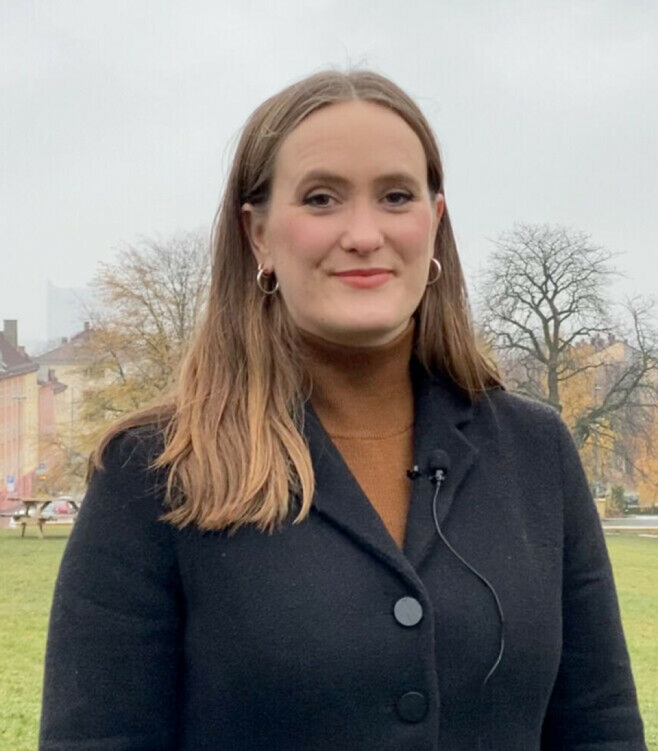 Linn W. Borgen is an art historian and the leader of the Treets Meister project, which has been ongoing since 2020. They plan to place the new portal in a visitor centre they hope to establish at Norway's oldest stave church.