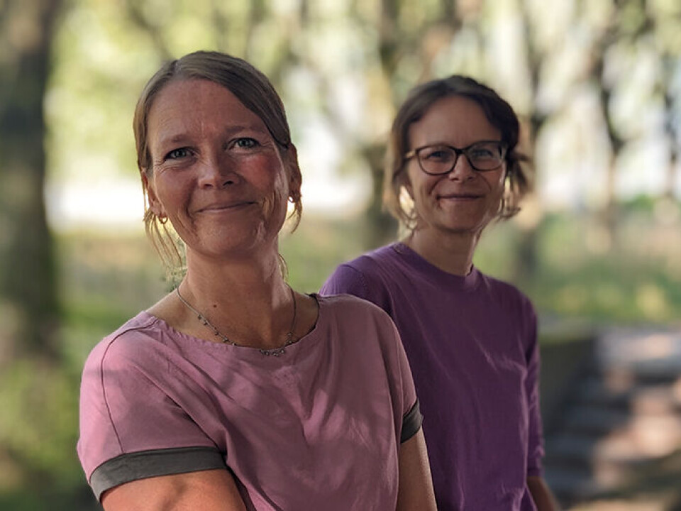 Researchers Aasta M. B. Bjørkøy (left) and Janicke S. Kaasa have studied the reception of Uncle Tom's Cabin over time.