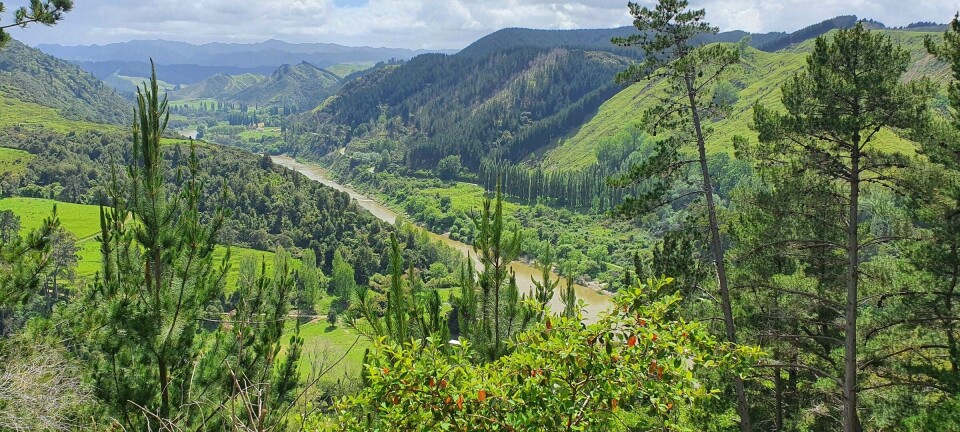 What happens when rivers are given rights?