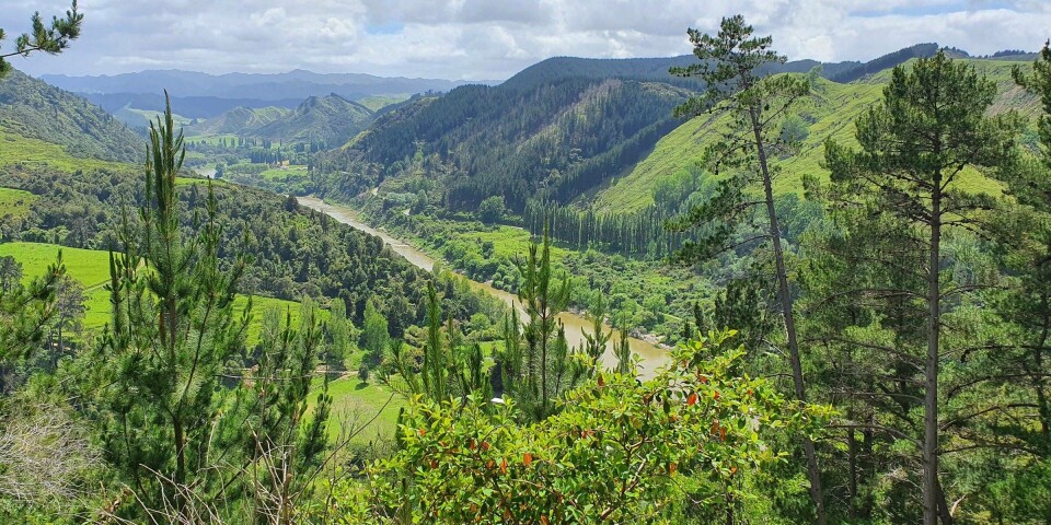 The construction of a hydropower plant in the neighbouring watercourse and runoff from agriculture has over time damaged water quality and reduced water flow in the Whanganui River in New Zealand.