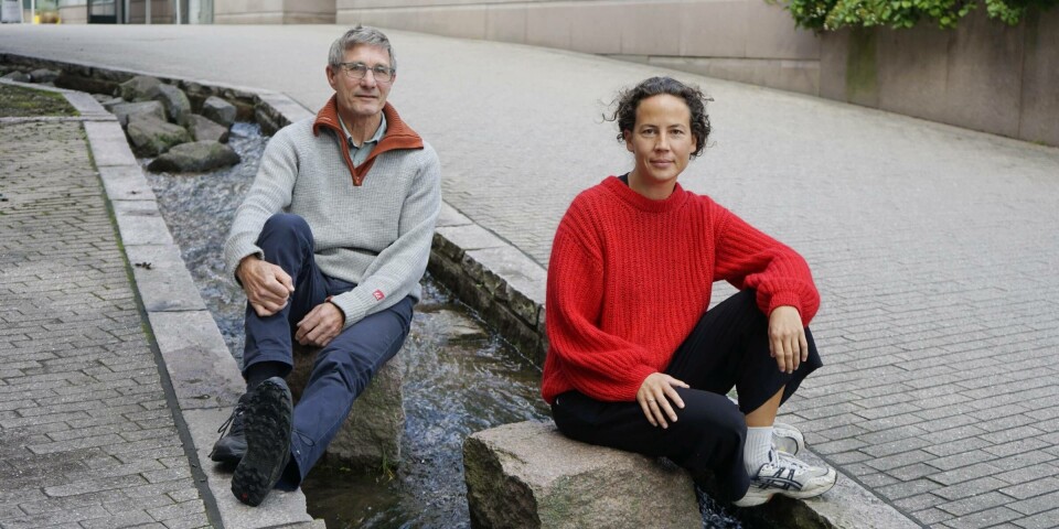 Axel Borchgrevink and Malene Karensdatter Brandshaug have researched rivers that have been granted legal personhood.