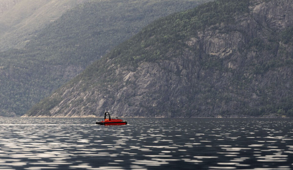 The unmanned vessel Frigg is measuring the sprat population in the Hardangerfjord.