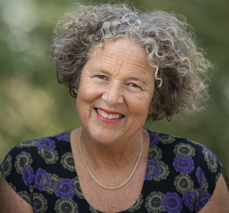 Ingun Grimstad Klepp is a professor in the Clothing Research Group at Consumption Research Norway (SIFO), OsloMet.