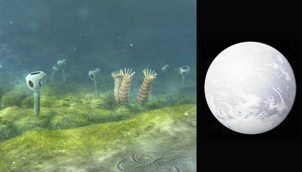 The forerunners of animals and plants were some pretty strange creatures. But around 600 million years ago, the Earth turned into one huge snowball. What happened then?
