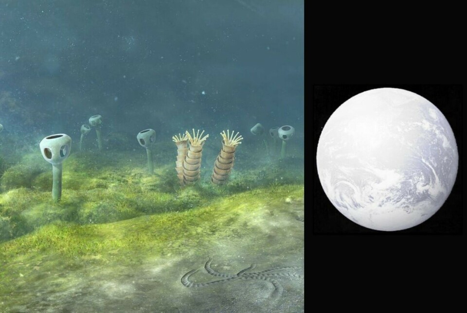 The forerunners of animals and plants were some pretty strange creatures. But around 600 million years ago, the Earth turned into one huge snowball. What happened then?