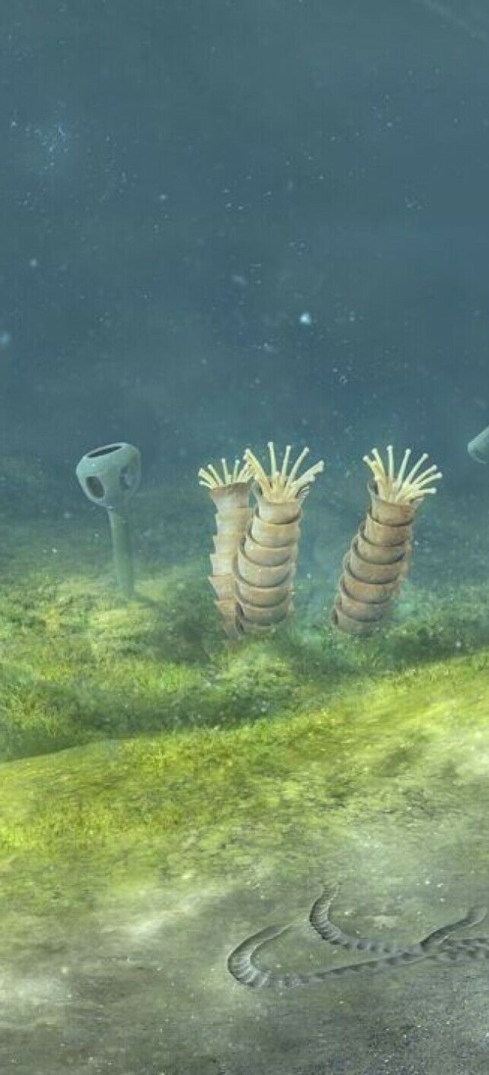 Oldest animals on Earth found in northern Norway