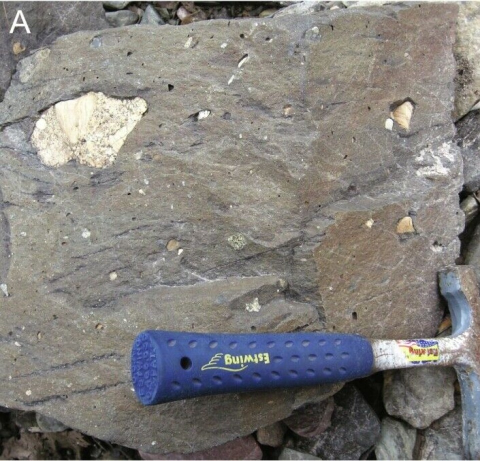 What scientists call a matrix (light stone) lies within larger blocks of old continents that may be completely gone today. This matrix is what the researchers have studied, and rocks like this reveal traces of life from Snowball Earth.