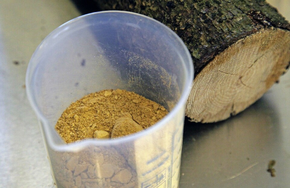Researchers make yeast that is turned into fish feed from Norwegian timber.