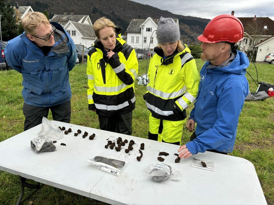 Ship rivets being inspected! From left: Archaeologist Morten Ramstad, Director of the Norwegian Directorate for Cultural Heritage Hanna Geiran, Rector of the University of Bergen Margareth Hagen, and archaeologist Thomas Bruen Olsen.