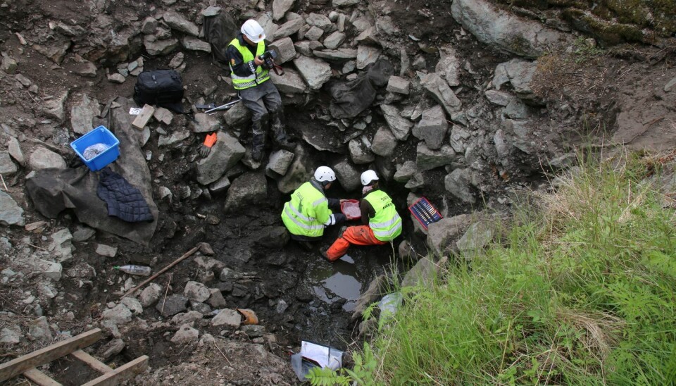 It has taken over 800 years to retrieve the man from the Kings' saga out of the well. Arkeologer i arbeid