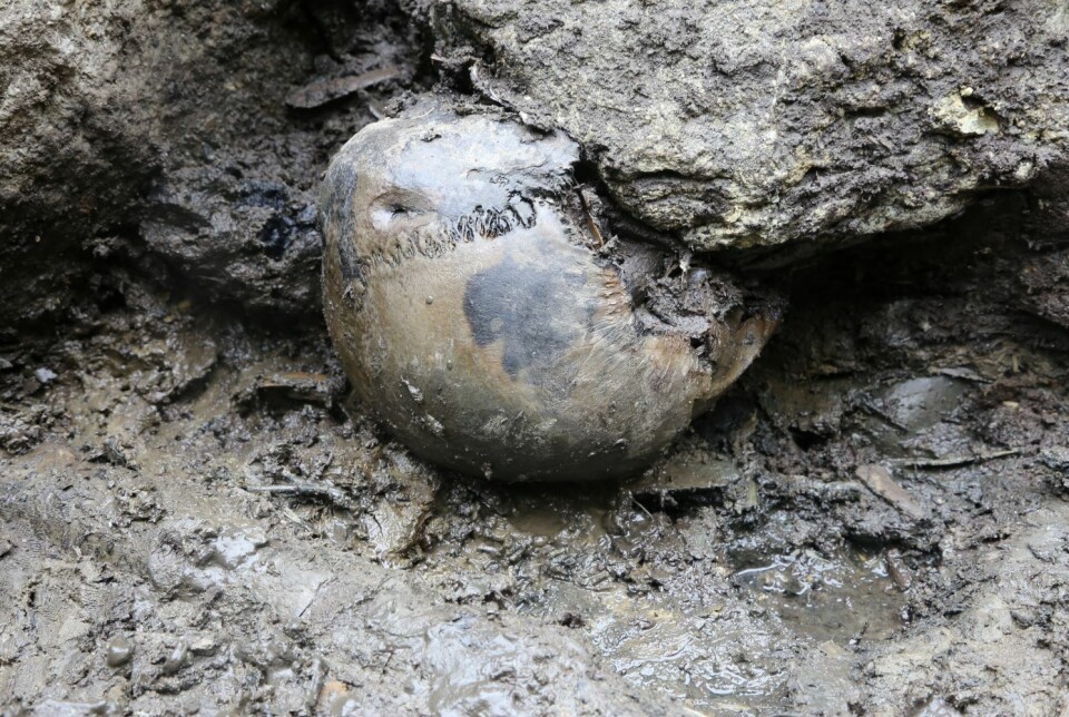 The skull was perforated at the neck bone. The damage may have occurred just before the man died, but was likely not fatal in itself. Hodeskalle begravet