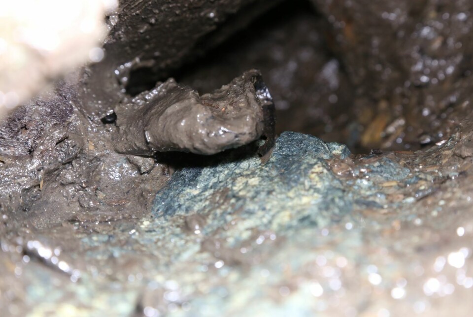 The shoe is still in the well, as it was wedged under large stones. However, archaeologists managed to retrieve some bones from the foot under very challenging conditions.