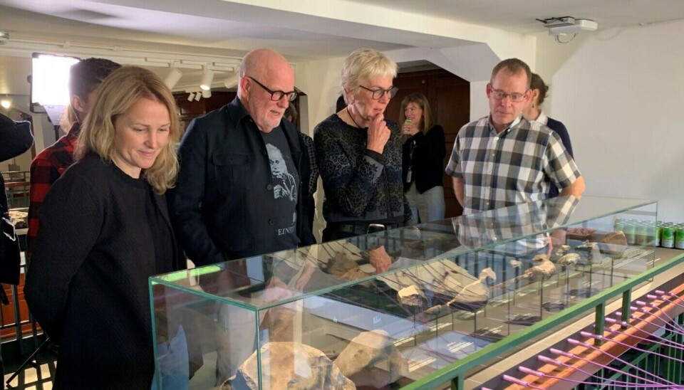 From left: Stine Hårklau, Morten Bilet, Brit Lisa Skjelkvåle, and Henrik Friis admire the almost complete collection of Norwegian meteorites.