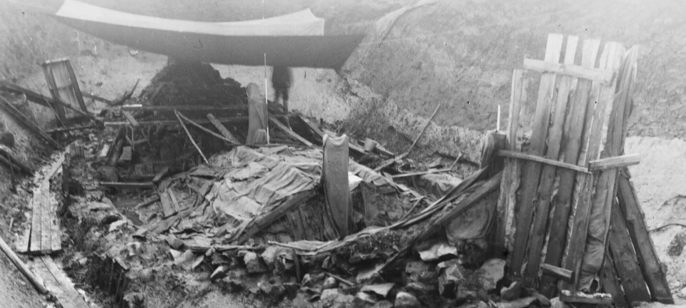 Why was there a such huge amount of down in the Oseberg Viking ship?