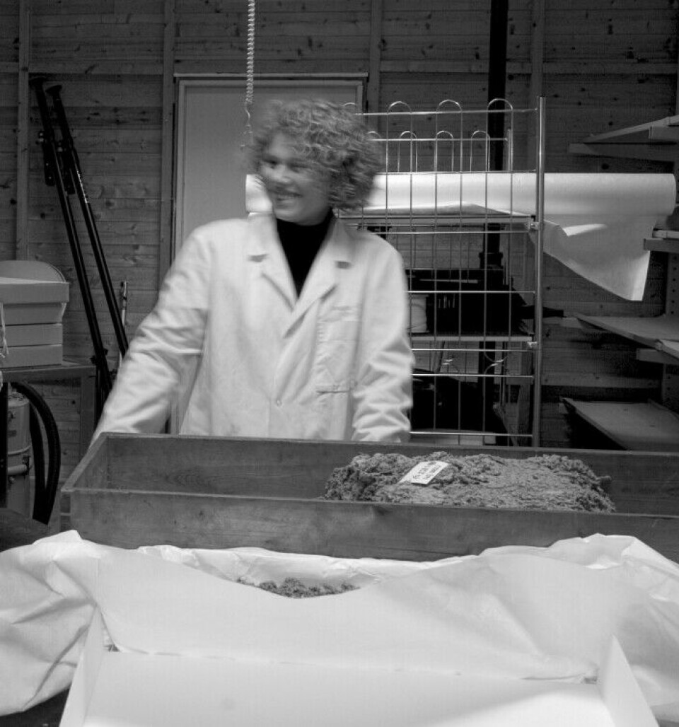 Marianne Vedeler during the repackaging of the down at the Museum of Cultural History in 2009.
