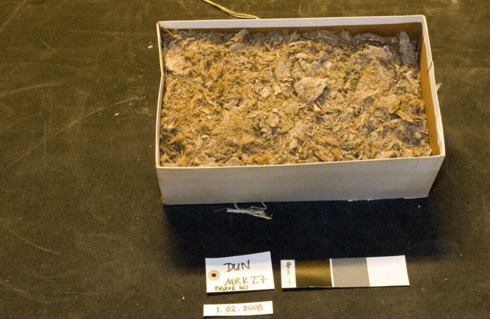 A box filled with down from the Oseberg Ship.