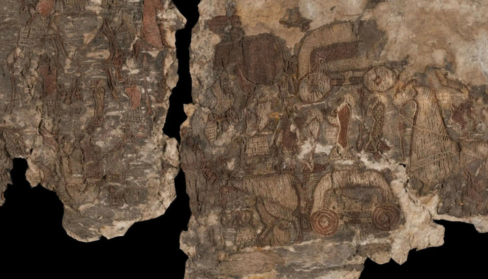 One of the best-preserved tapestries from the Oseberg Ship. In the centre, you can see horses and carriages.