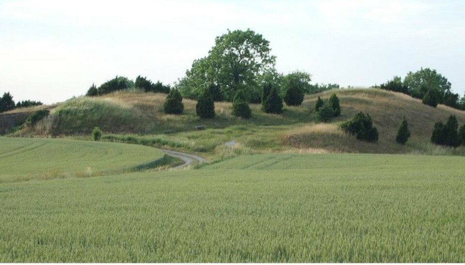 The burial mound in Valsgärd in Sweden, where the warrior graves were found.