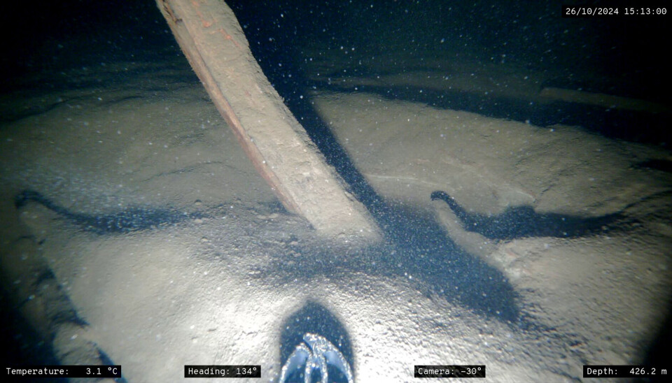 Last year, the researchers managed to film just a few seconds of the ship before the battery ran out. This year, they obtained an hour of video. The depth was previously measured at 410 metres, but new measurements show 415 metres. The camera's depth shows 426 metres due to measurement uncertainty in the underwater robot used.