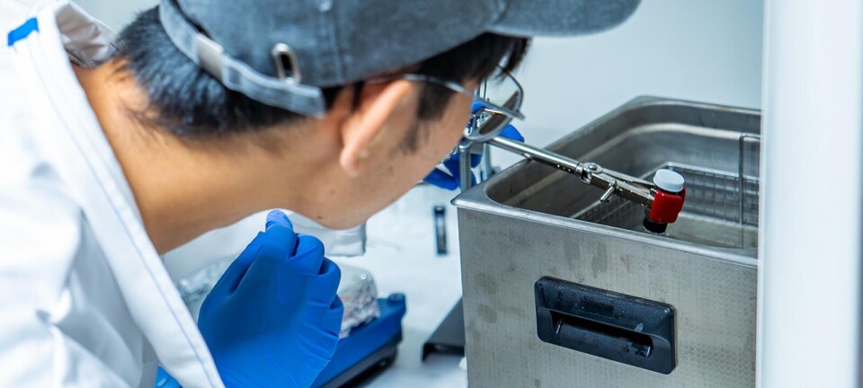 Artificial nose can sniff out damaged fruit and spoiled meat