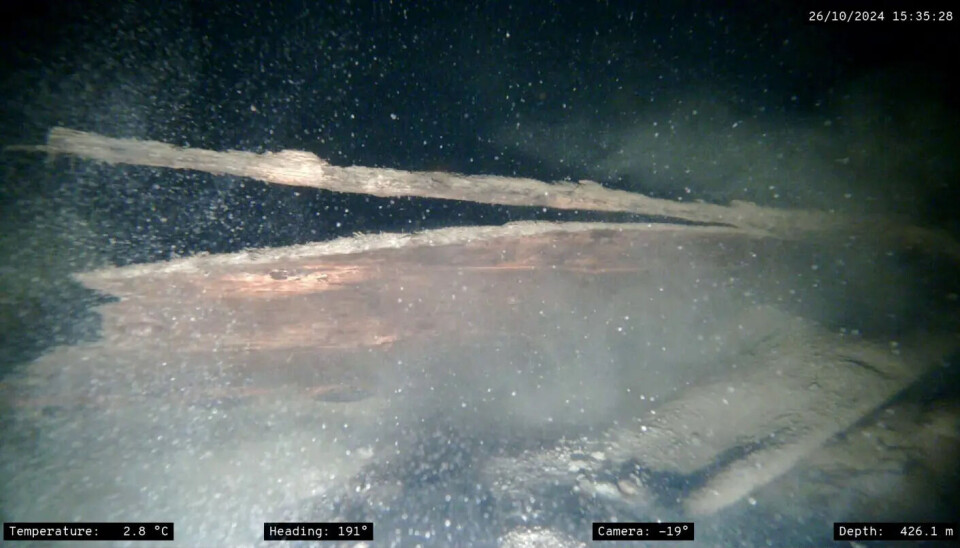 An underwater robot with a gripping claw was sent down to take a dating sample of the wood, but the weather was too rough, and the researchers had to give up. However, they did capture excellent images of well-preserved timber. Timber in murky, dark water.