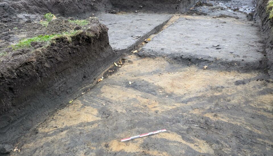 The use of ground-penetrating radar played a crucial role in helping archaeologists dig more precisely into the ground.