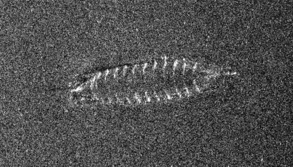 This is the sonar image of the shipwreck that was discovered when the Norwegian Defence Research Establishment and NTNU surveyed Lake Mjøsa nearly two years ago. Sonar image showing a shipwreck.