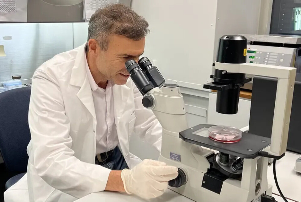 Immunotherapy has not been effective against prostate cancer, but Professor Fahri Saatcioglu hopes that a new combination treatment can change that.