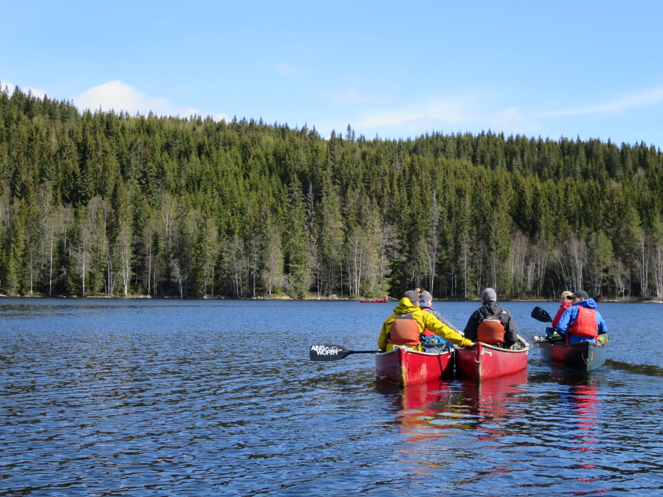 Conversations on hikes change when phones stay tucked away, students say. If one person pulls out a phone, it often prompts others to do the same. Students paddling a canoe on a lake in the autumn sun.