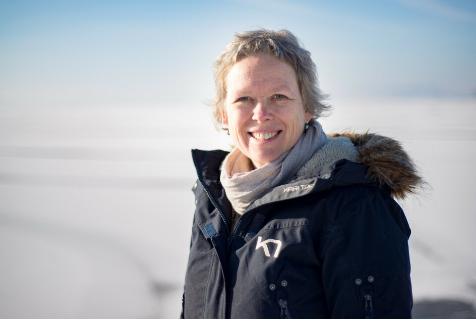 Marit Reigstad is a professor of marine ecology at UiT and project leader for The Nansen Legacy.