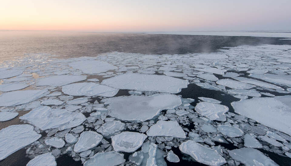 There are significant changes expected in the Arctic Ocean area, according to a research project.