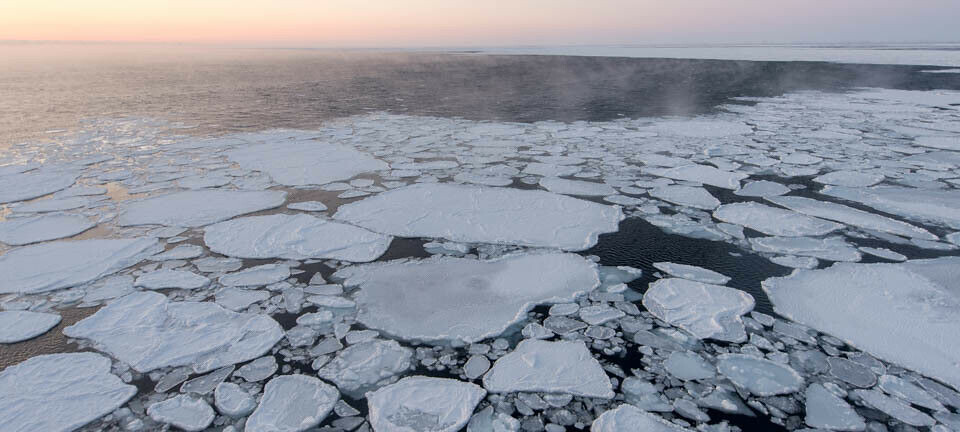 New study: The northern Barents Sea could be seven degrees warmer in 2050