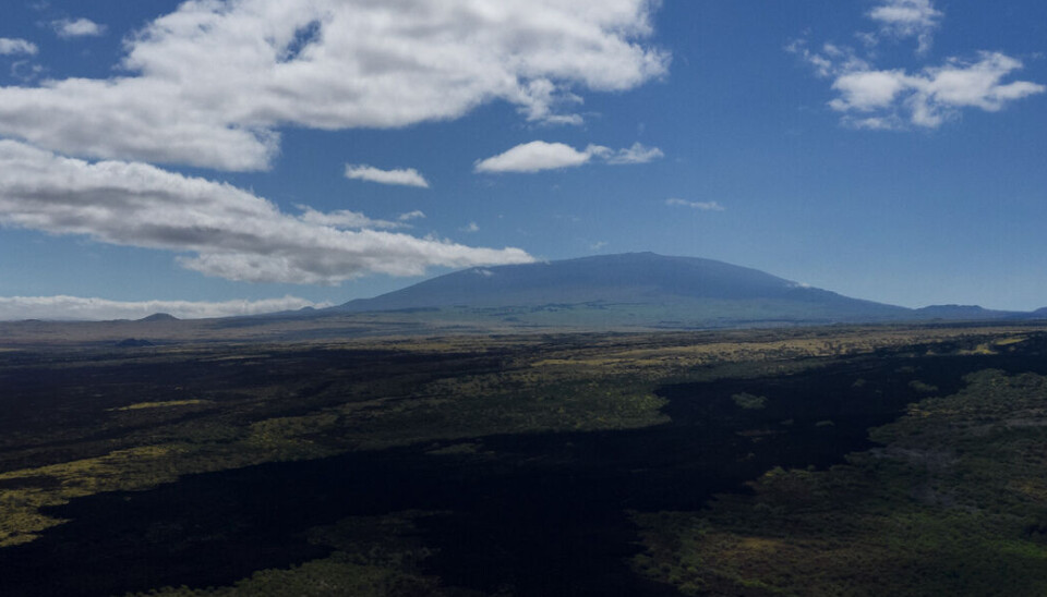 The summit of Mauna Kea is far less dramatic than the other mountains, but one could argue that it is, in fact, the world's tallest mountain.
