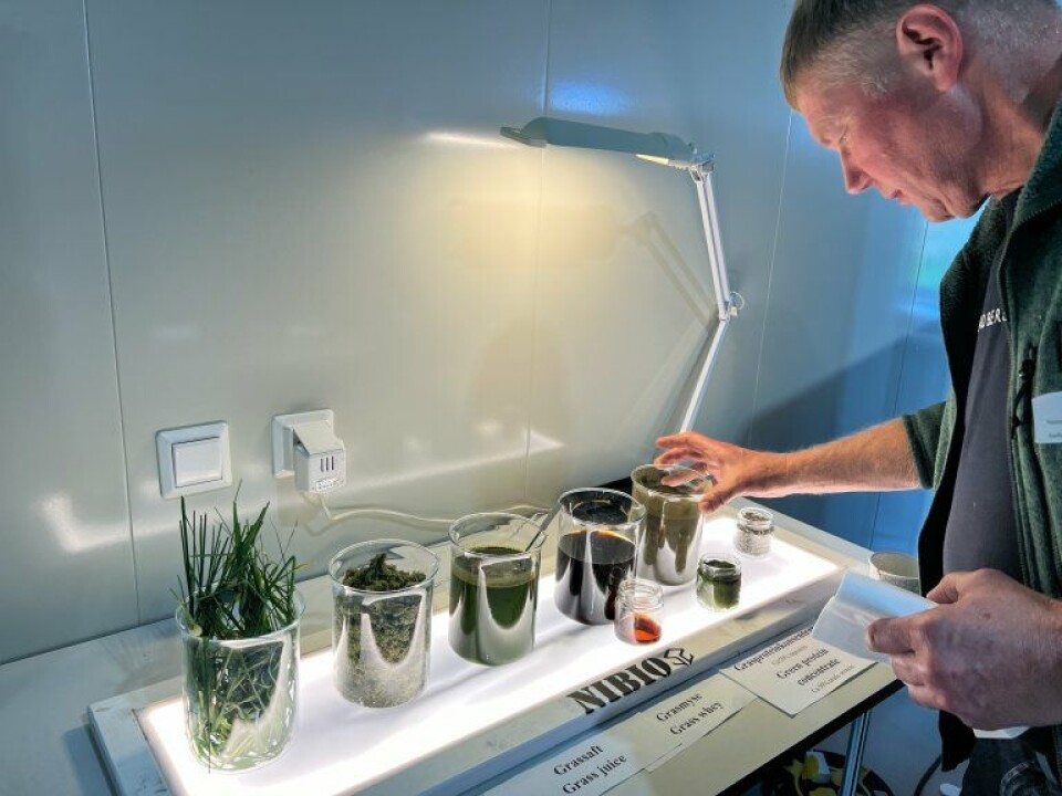 Professor Søren Krogh Jensen from Aarhus University examines the display of what is produced from grass at the green biorefinery facility at the Tuv Research Farm.
