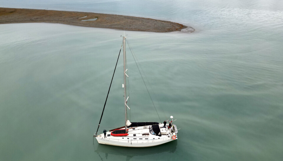 Photo taken during drone survey of the field sites.