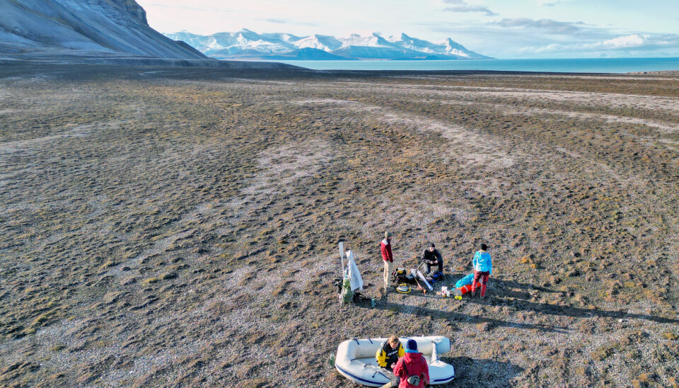 Photo taken during drone survey of the field sites.