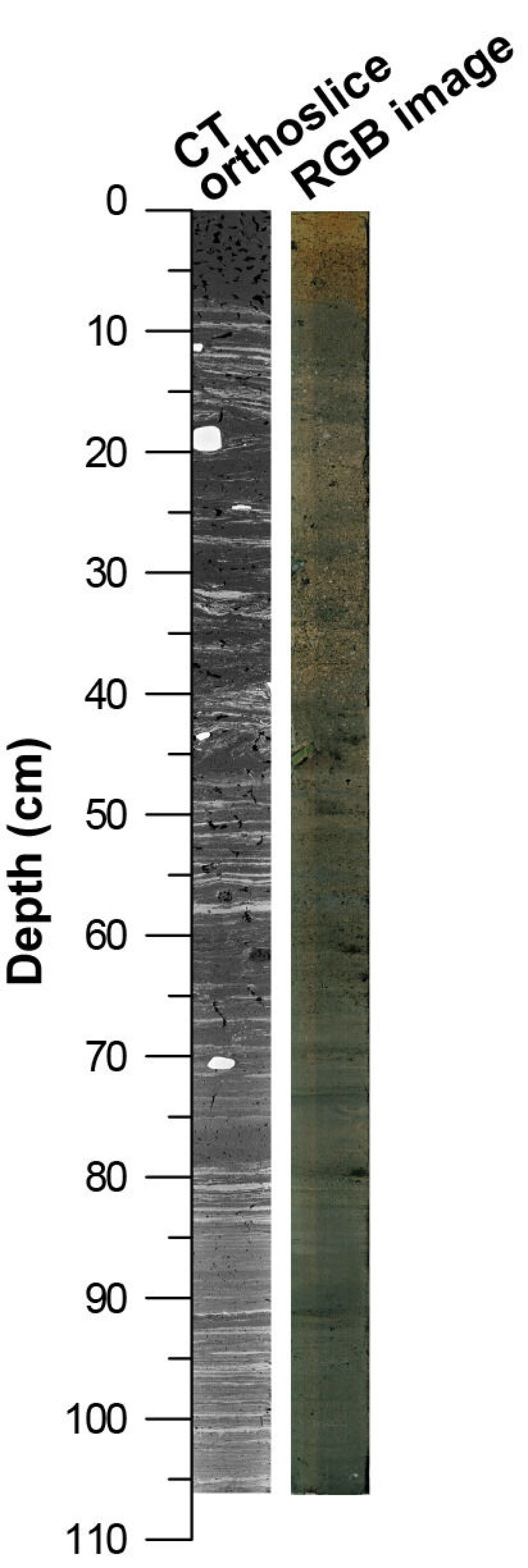 CT orthoslice along with the RGB image of the core.