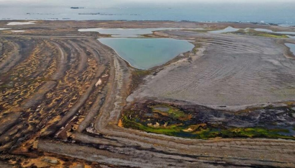 Drone survey of the field sites.