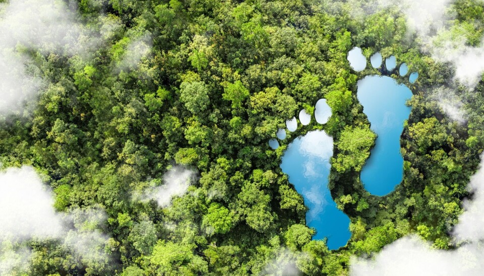 'It’s helpful to know how much we pollute. But the oil company that introduced the concept of the carbon footprint had another agenda,' says Aall.
