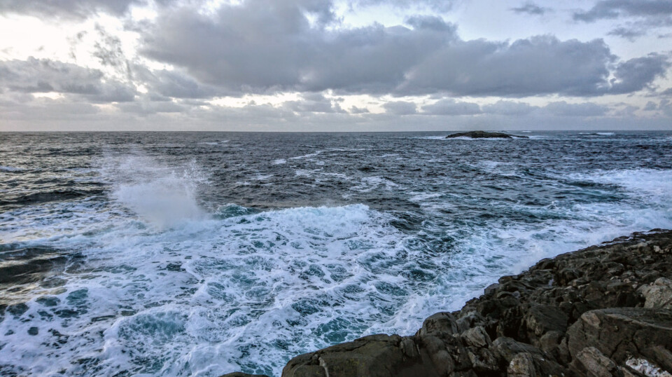 The ocean changes from season to season. In winter, currents and winds mix the cold water masses so that nutrients rise from the depths.