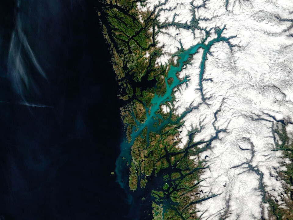 Satellite image showing the Hardangerfjord in Western Norway on May 30, 2020, during an Emiliana huxleyi spring bloom. This algae has a calcium carbonate shell that reflects the light, colouring the sea turquoise.