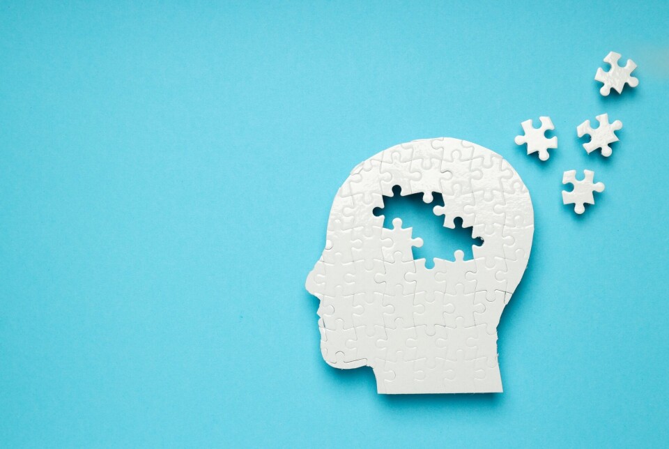 Is Alzheimer's a type of diabetes of the brain? Are more puzzle pieces starting to fall into place in the search for a causes of dementia?