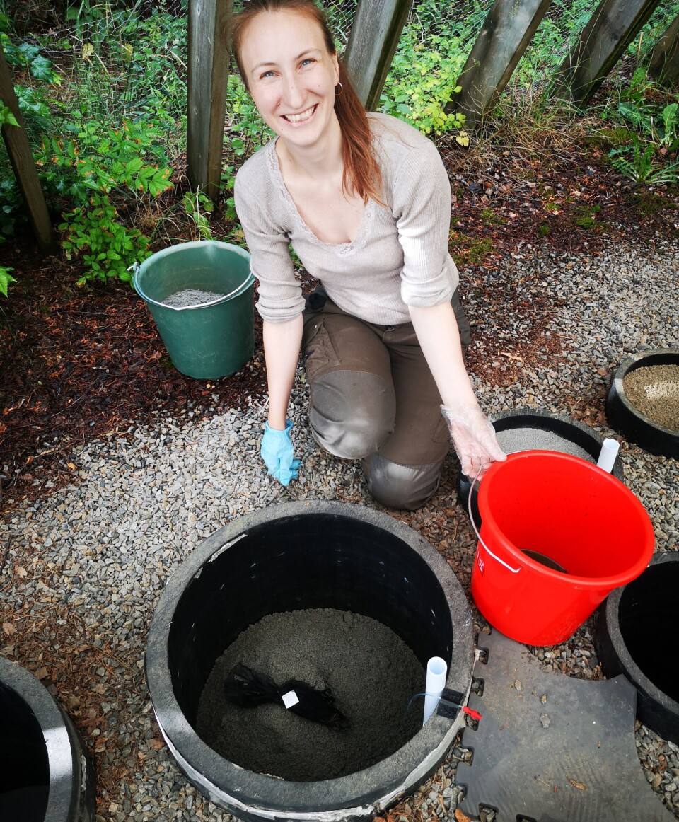 Inghild Økland believes that traditional coffin burial is the best option for both the environment and society. Here, she tests the decomposition of pig bones and tea in four different soil types.