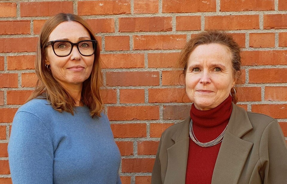 Kari Stefansen and Elisiv Bakketeig at NOVA – Norwegian Social Research have been researching the Barnahus model since its introduction in Norway in 2007. NOVA is a leading player in Barnahus research internationally.