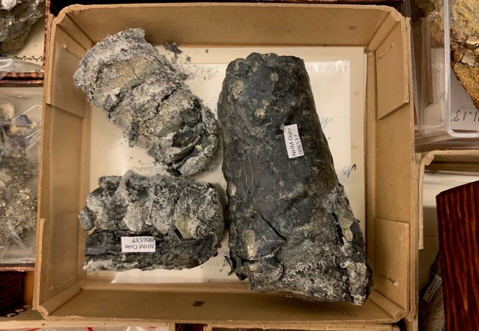 These fossils are crumbling away. Tre rufsete, avlange biter med stein ligger i en brun eske. Steinene har fått et hvitt belegg som nesten ligner mugg. Sand fra steinene har smuldret ned i bunnen av esken.