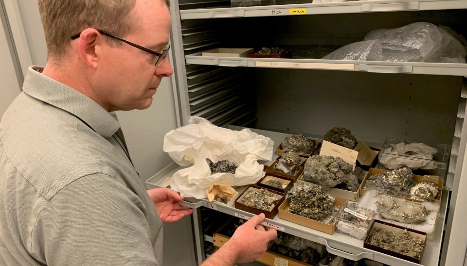 In Friis' death cabinet, there are mineral samples beyond saving. They are so disintegrated that they are essentially ready to be discarded. En mann drar ut en lav skuffe i et metallskap. I skuffen ligger mange oppsmuldrede steinprøver.