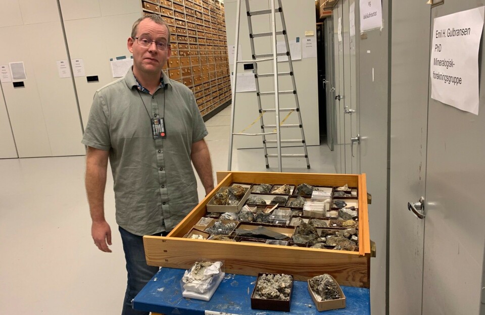 Every time Friis finds an affected sample, he removes it. But no one knows how many cases of pyrite disease exist among the 44,000 samples in the mineral collection. En mann står ved siden av et bord der det er samlet mange esker med ødelagte mineralprøver.