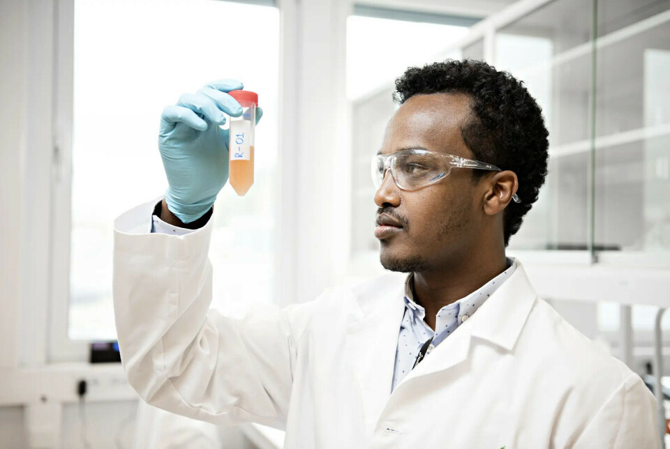 Researcher Sileshi Wubshet leads the work on breaking down protein-rich residual materials into smaller components. These can be added to food or used as dietary supplements.